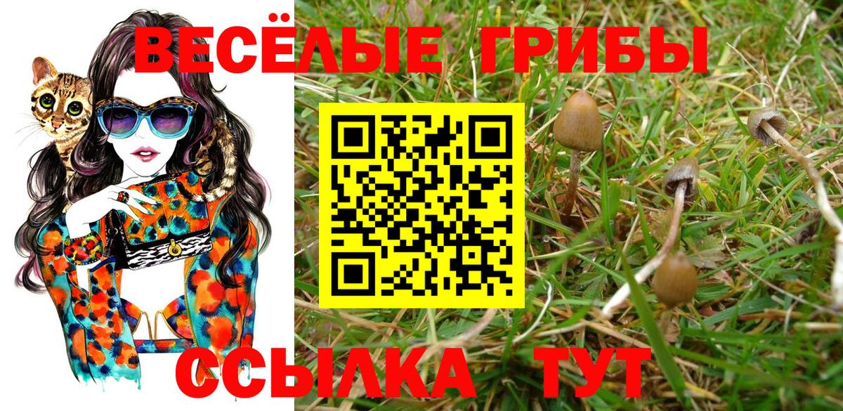 Ялта  Псилоцибиновые грибы Cubensis  Галлюциногенные грибы мухоморы  цены   Вход с VPN 